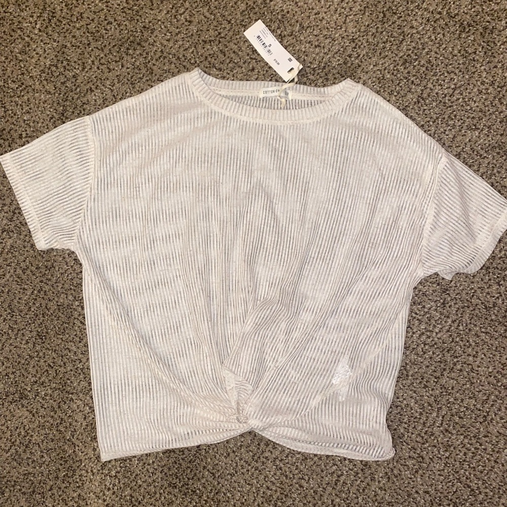 Mesh Light Cream Crop Top